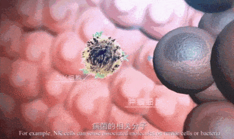 改善甲状腺健康，免疫细胞疗法来帮忙！