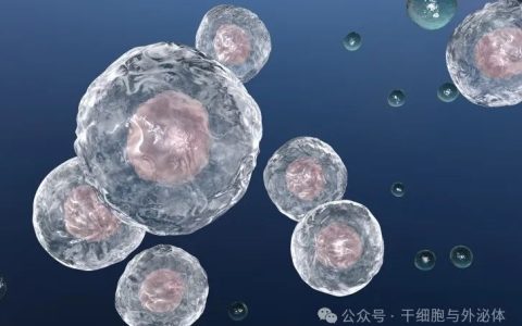 外泌体治疗肺部疾病项目获得1.26亿元投资