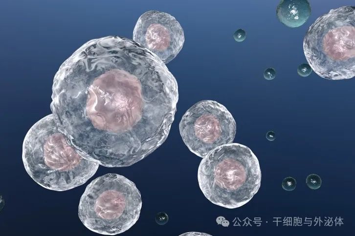 外泌体治疗肺部疾病项目获得1.26亿元投资