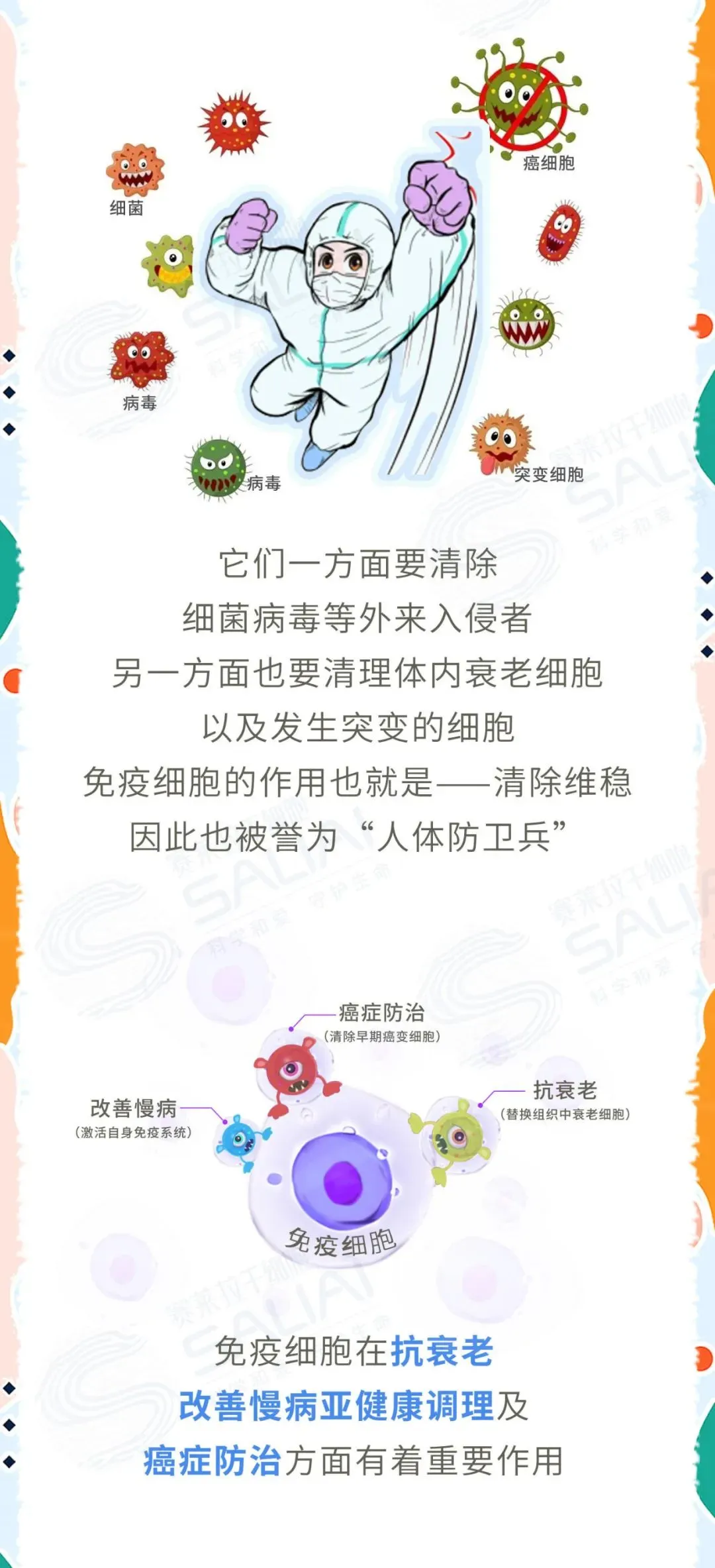 一组漫画简单聊聊干细胞和免疫细胞有何不同