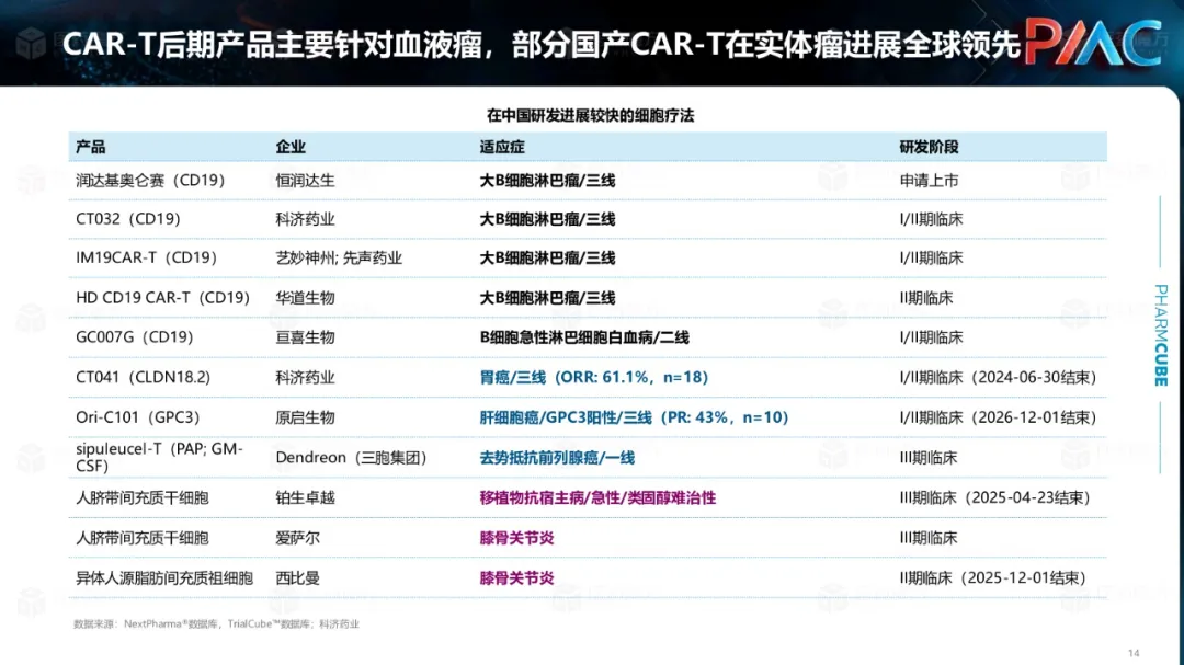 中国CGT行业发展趋势与挑战报告