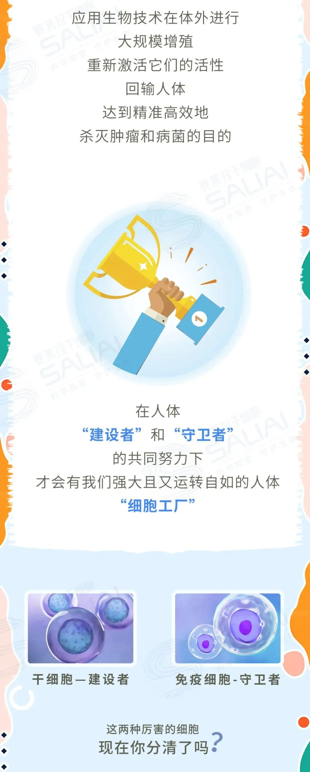 一组漫画简单聊聊干细胞和免疫细胞有何不同