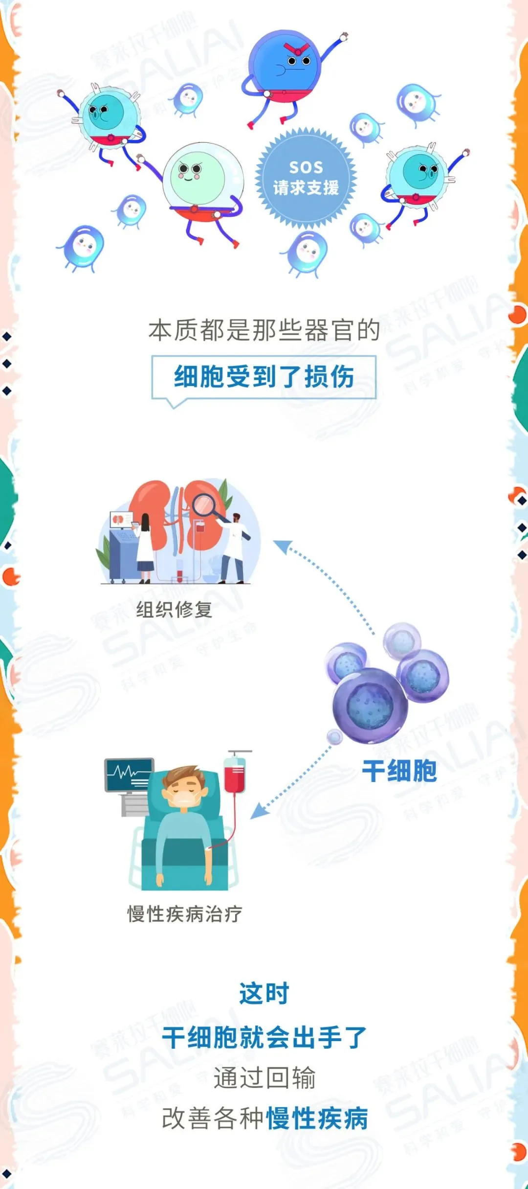 一组漫画简单聊聊干细胞和免疫细胞有何不同