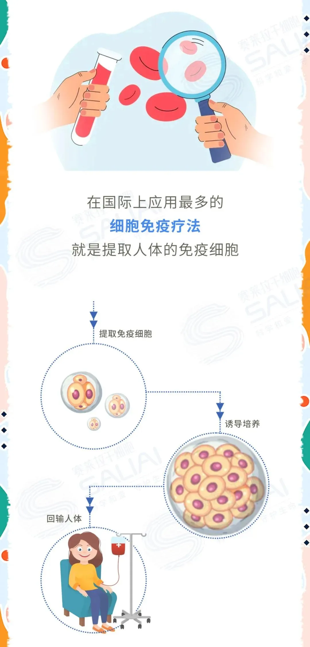 一组漫画简单聊聊干细胞和免疫细胞有何不同