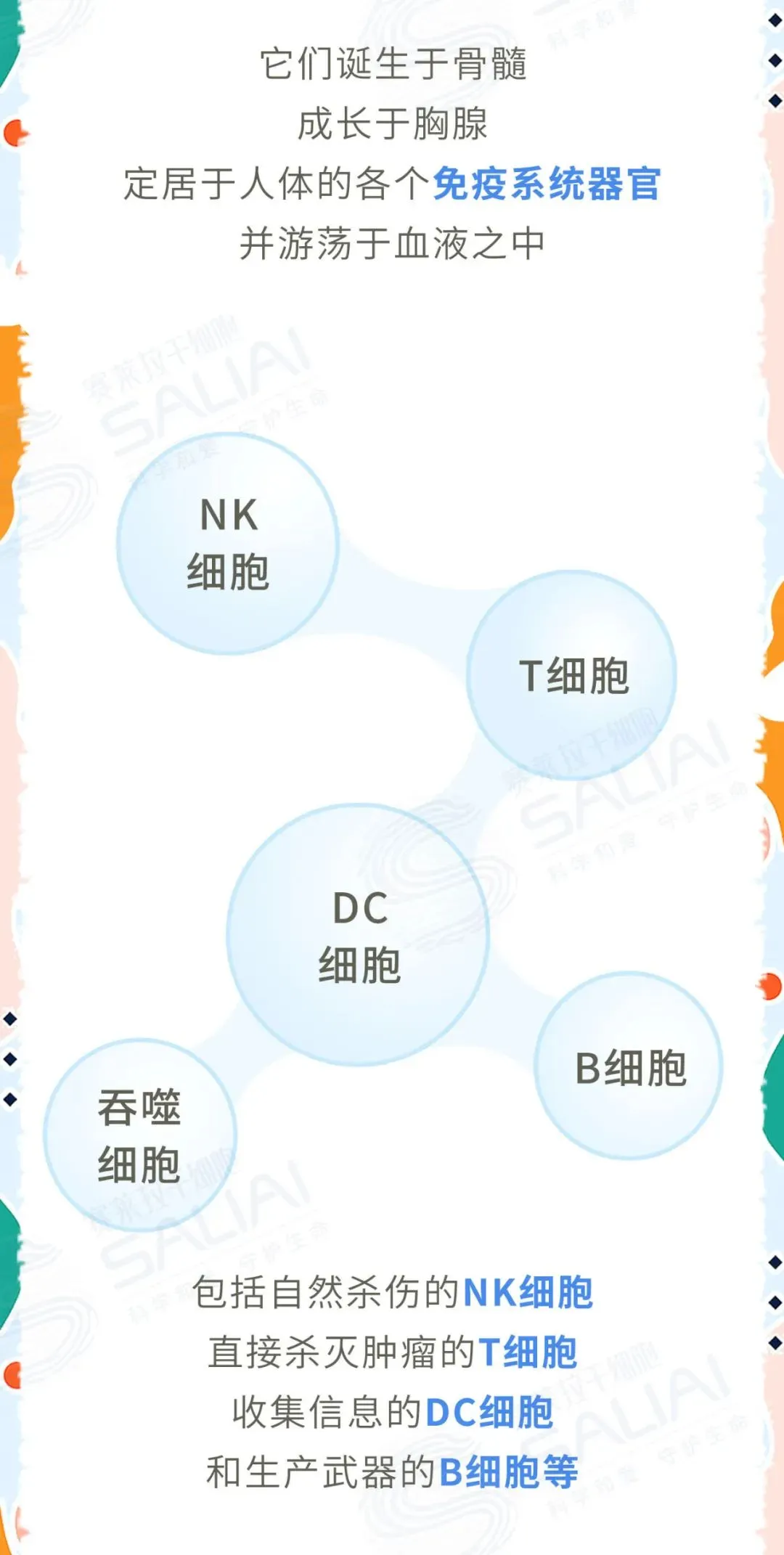 一组漫画简单聊聊干细胞和免疫细胞有何不同