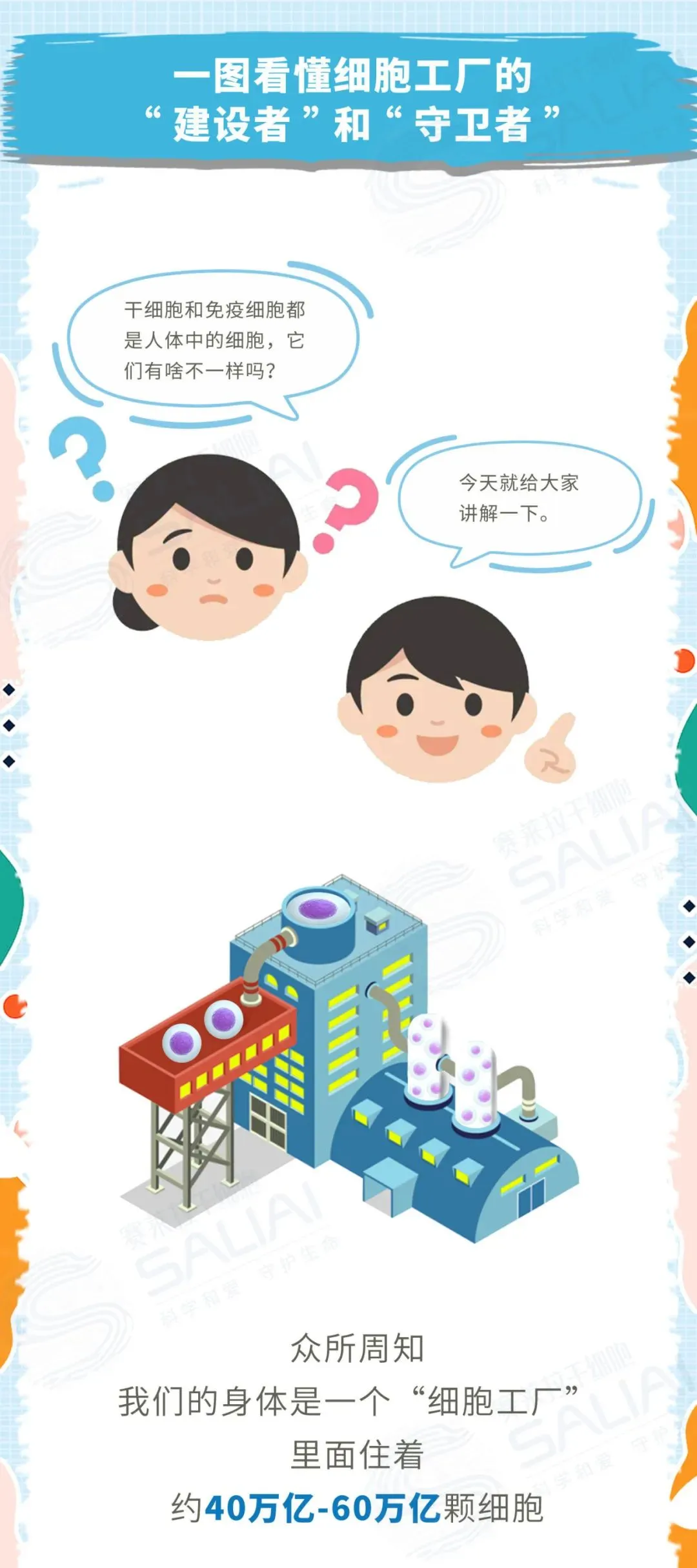 一组漫画简单聊聊干细胞和免疫细胞有何不同