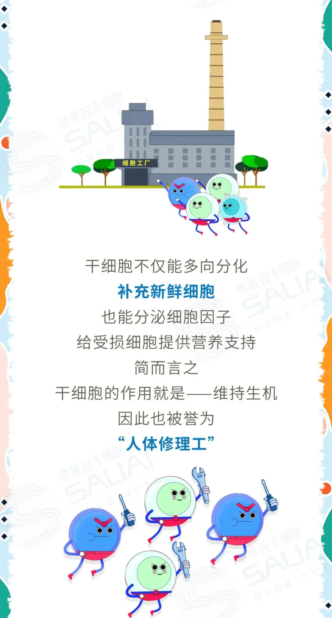 一组漫画简单聊聊干细胞和免疫细胞有何不同