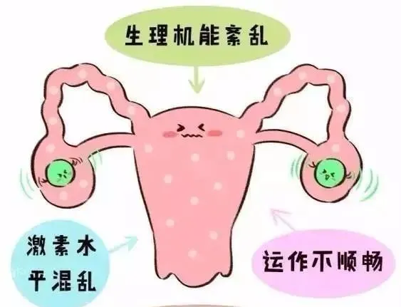 打干细胞治疗对女性更年期有作用吗？