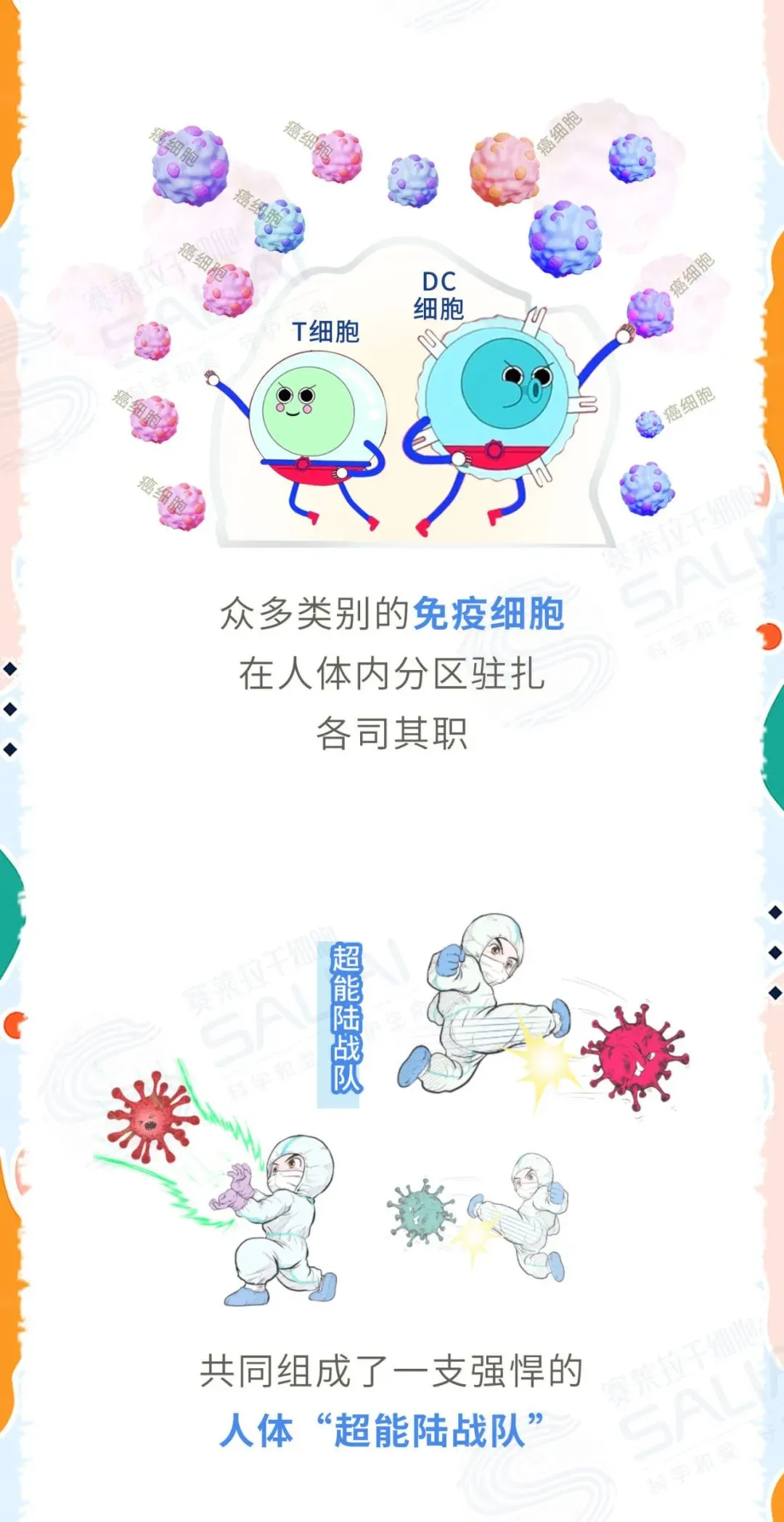一组漫画简单聊聊干细胞和免疫细胞有何不同