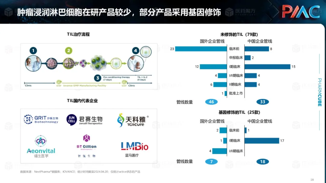 中国CGT行业发展趋势与挑战报告