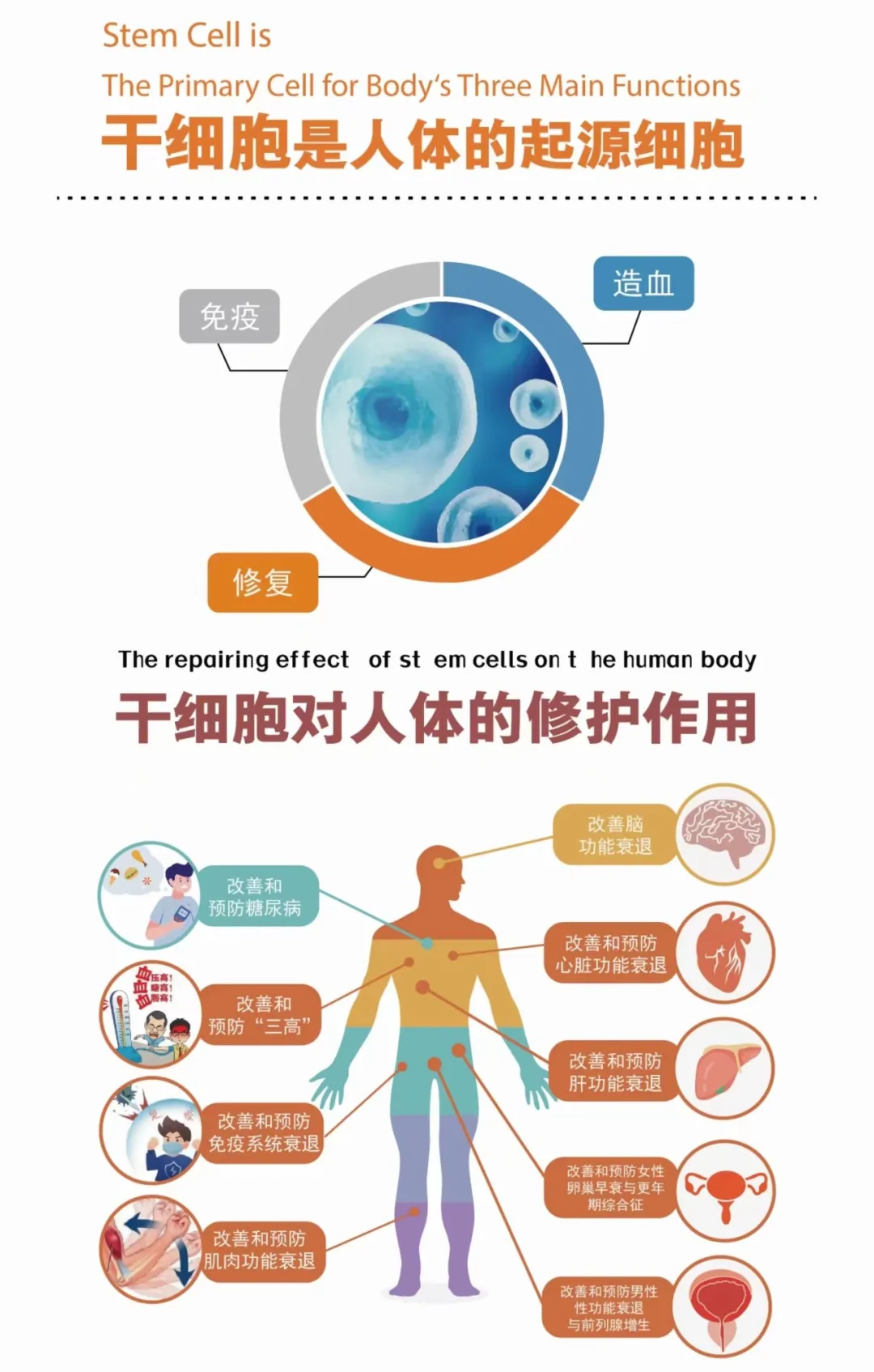 干细胞抗衰老一年需要回输1次、2次还是3次?