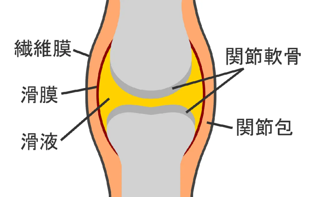 5年随访证实：干细胞治疗慢性膝关节疼痛安全有效