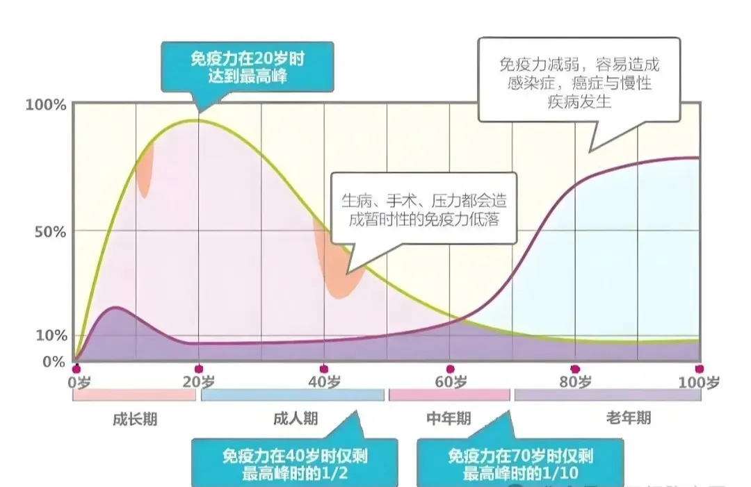 定期回输免疫细胞，对人体健康有哪些好处？