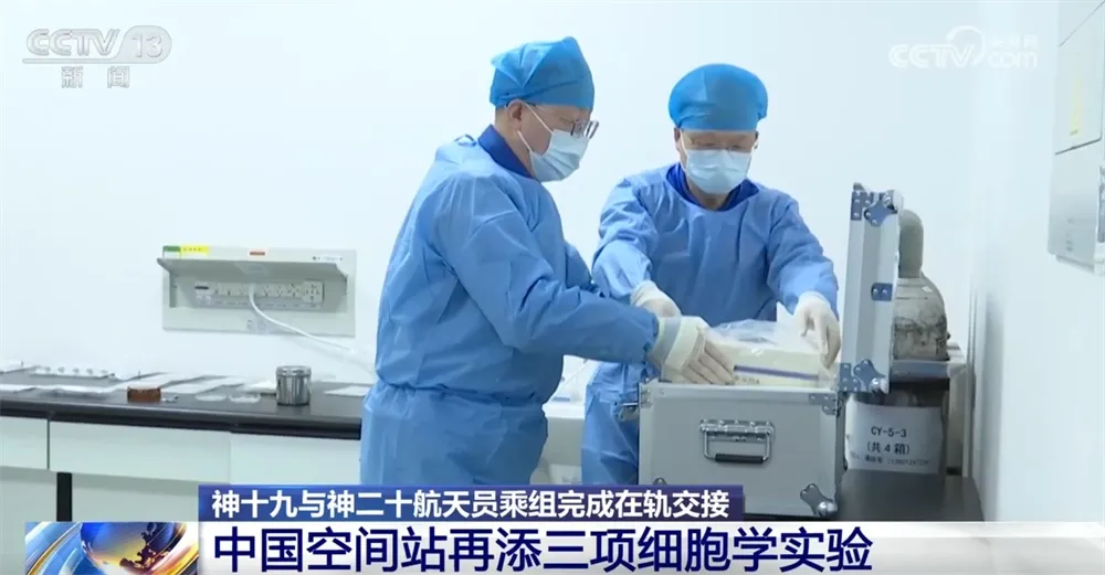 细胞又上太空了！中国空间站再添三项细胞学实验