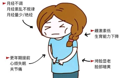 干细胞精准靶向治疗卵巢早衰：解决闭经难题，修复卵巢功能，缓解更年期不适！