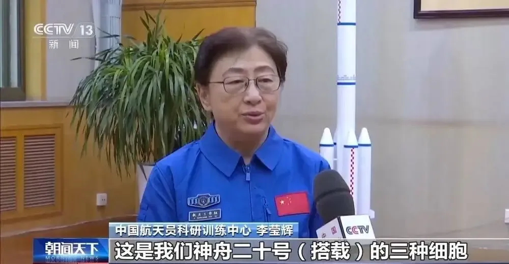 细胞又上太空了！中国空间站再添三项细胞学实验