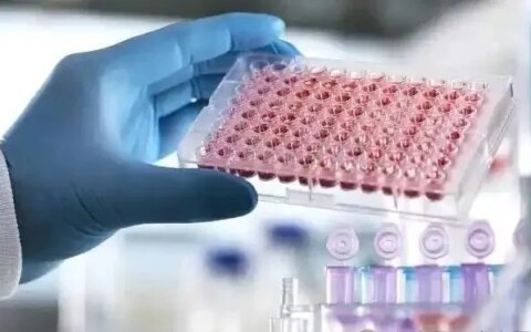 干细胞治疗成热门趋势！详尽版干细胞回输指南，建议留存！