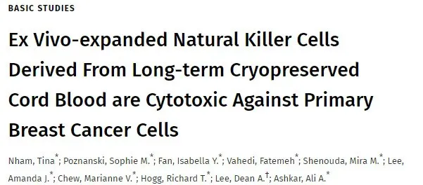 脐血NK细胞可靶向治疗乳腺癌，长期冻存后并不影响其抗肿瘤活性