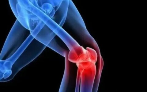 干细胞如何修复受损半月板？最新研究进展一览