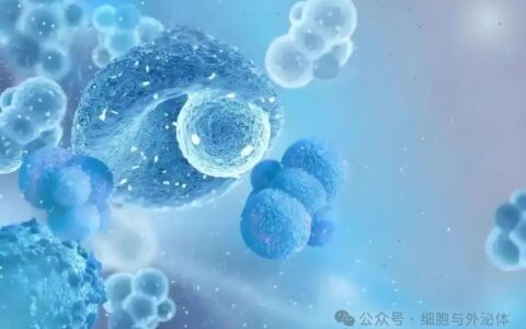 干细胞疗法不是魔法神药，需理性看待应用