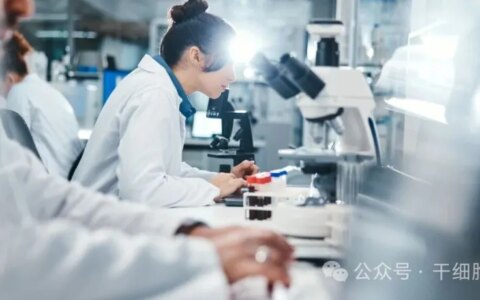 政策红利释放 + 技术里程碑落地！中国细胞治疗领域 2024-2025 爆发式增长，外资入局新机遇与挑战并存