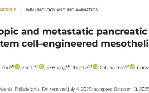 一袋脐带血，千剂细胞药：干细胞技术为“癌王”带来通用免疫细胞治疗新思路