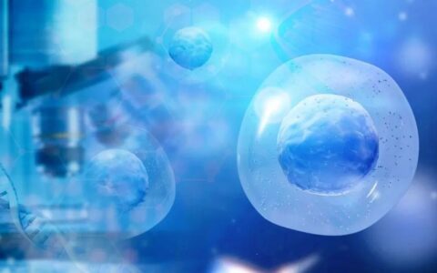 5 亿元 + 国内细胞治疗领域单笔最大融资！邓宏魁iPS细胞技术改写糖尿病治疗格局